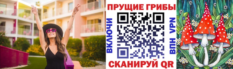 купить наркотик Сусуман Галлюциногенные грибы MAGIC MUSHROOMS